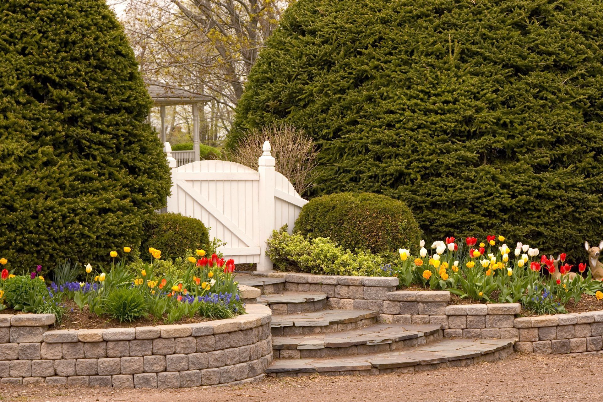 Stone steps lead to a white garden gate between manicured shrubs and colorful flowers.