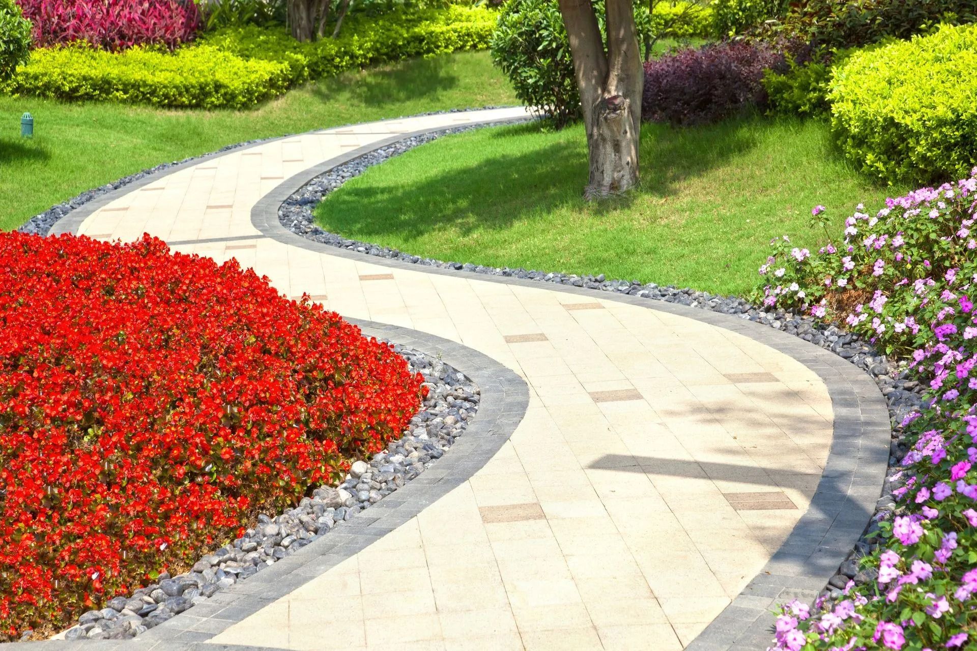 Curving garden path bordered by red and purple flowers, with green lawns and a tree