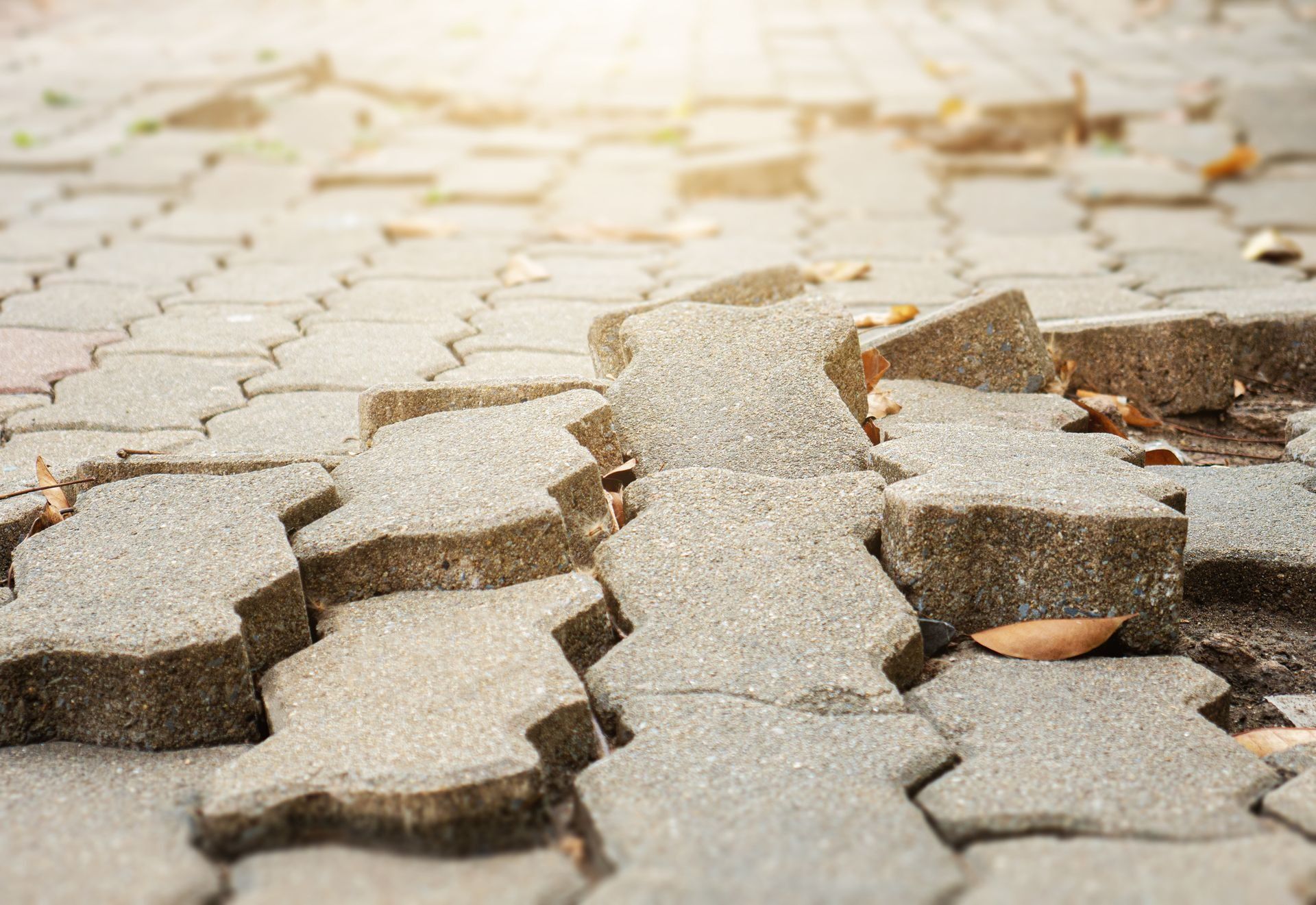 Broken, uneven paved sidewalk with lifted bricks and a cracked surface.