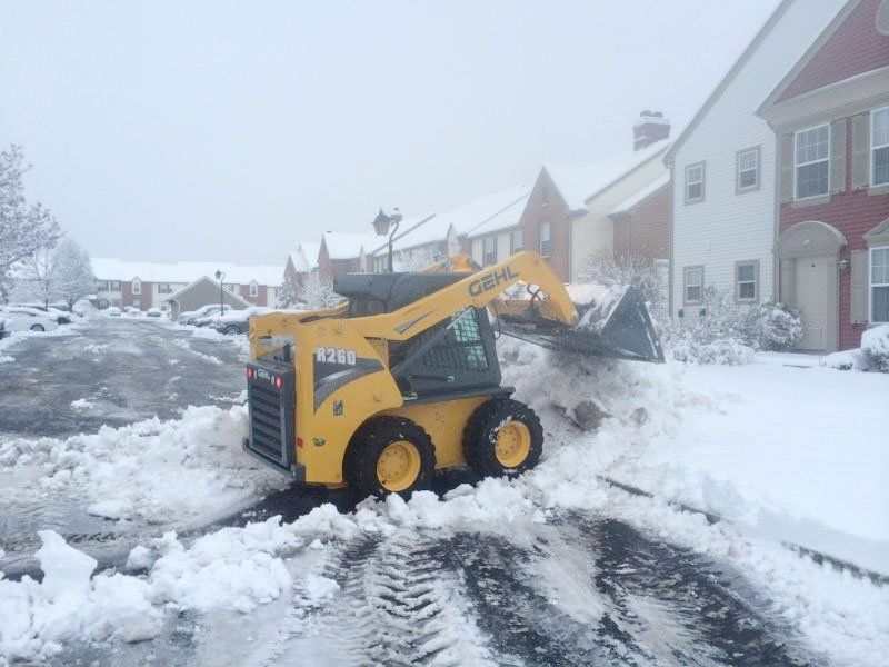 Precision Landscaping Services LLC Work