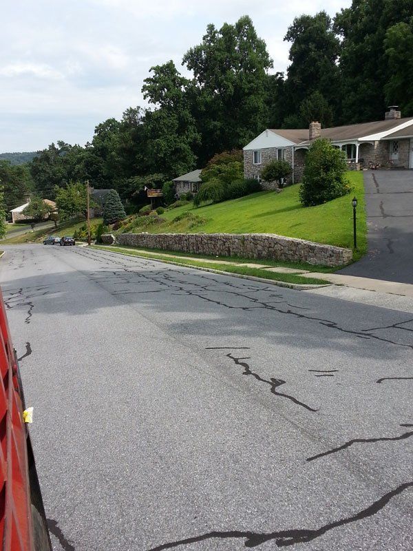 Precision Landscaping Services LLC Work