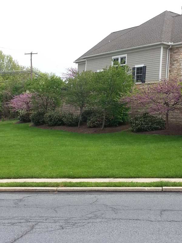 Precision Landscaping Services LLC Work