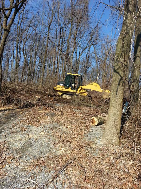 Precision Landscaping Services LLC Work