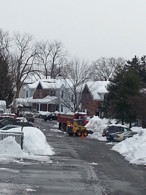 Precision Landscaping Services LLC Work