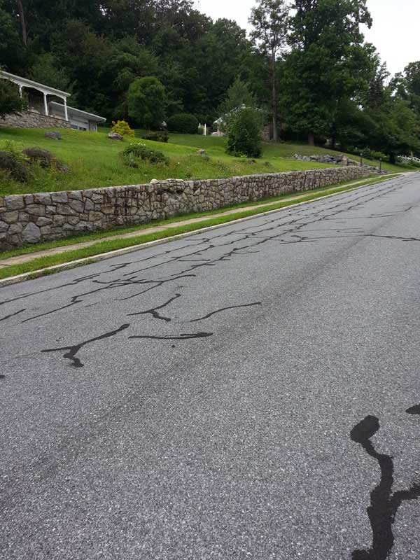 Precision Landscaping Services LLC Work