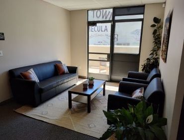 Waiting room with black furniture, a rug, plants, and a door to a balcony