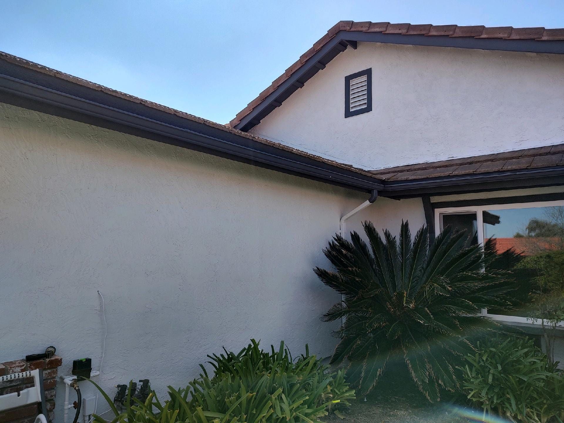 White stucco house with dark brown trim and gutters; lush green plants in front.
