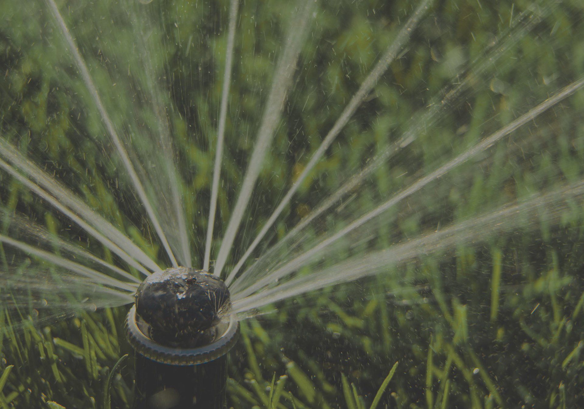 Pro Tech Automatic Lawn Sprinklers Inc Irrigation Albany NY