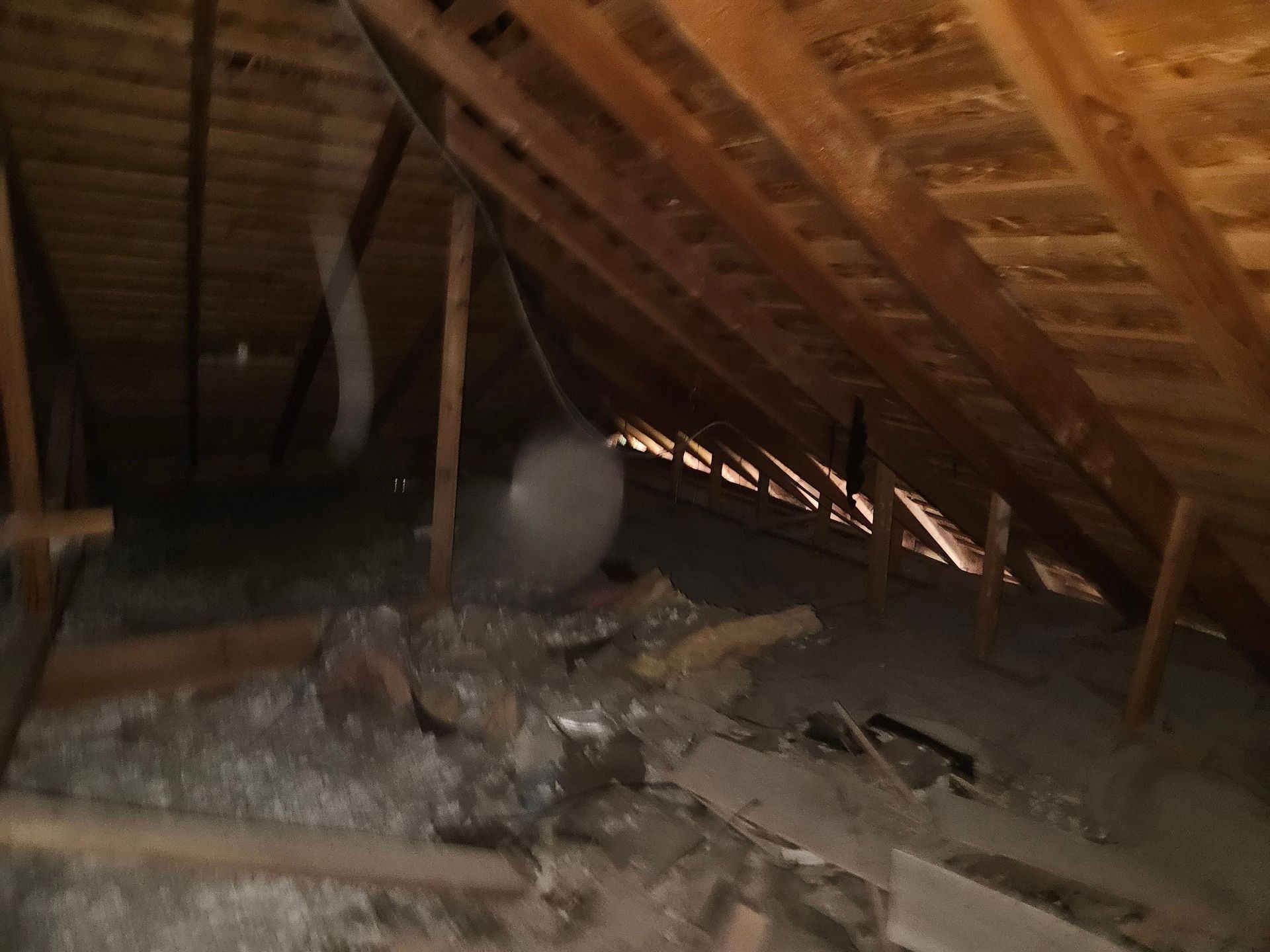 Interior of a dusty attic with exposed wooden rafters and insulation.