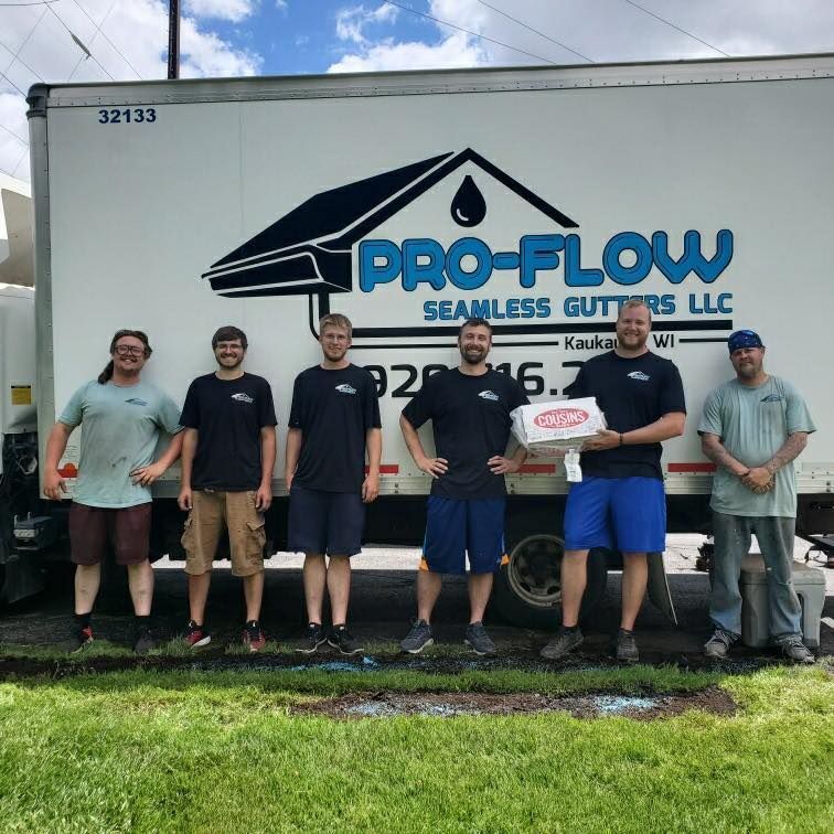 Pro-Flow team