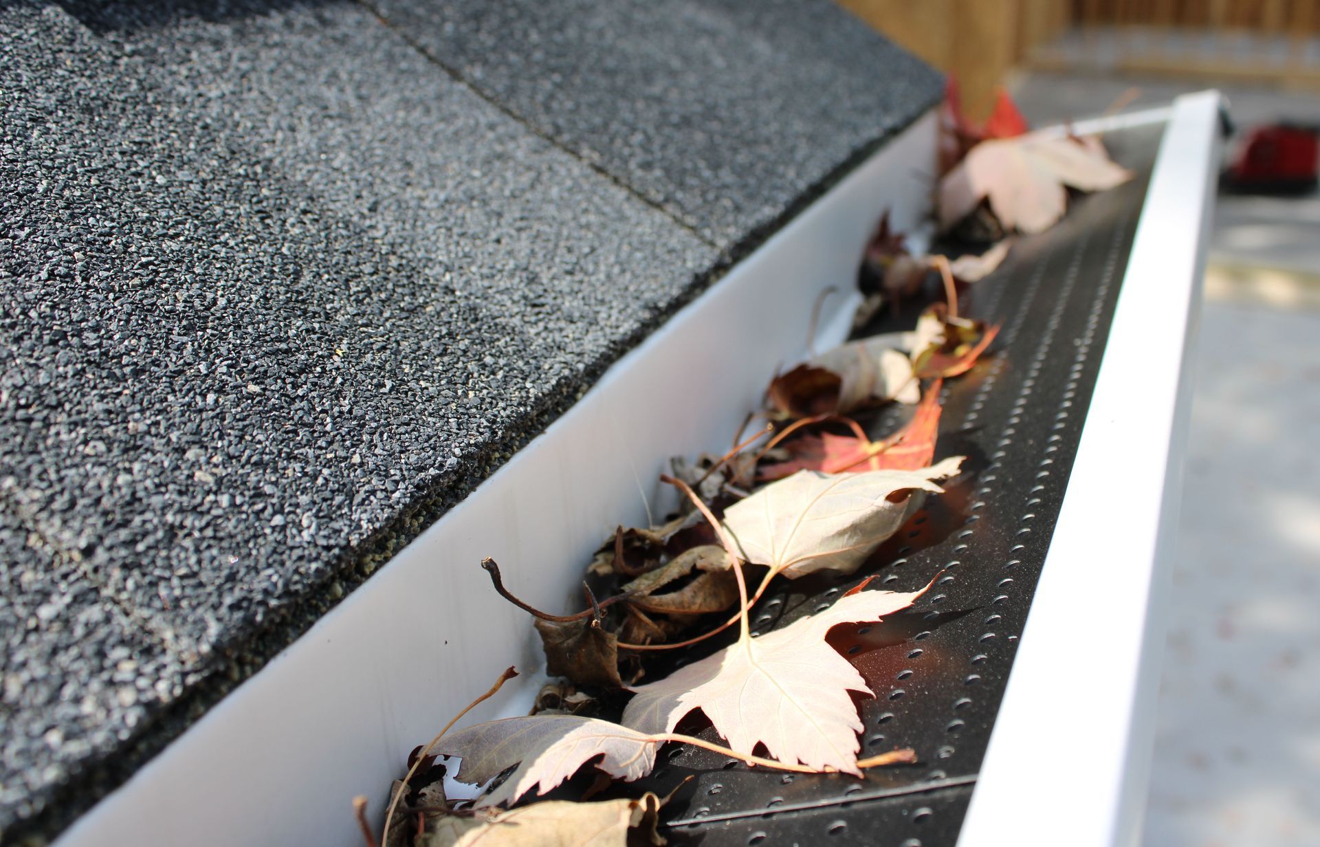 A gutter filled with leaves on top of a roof.