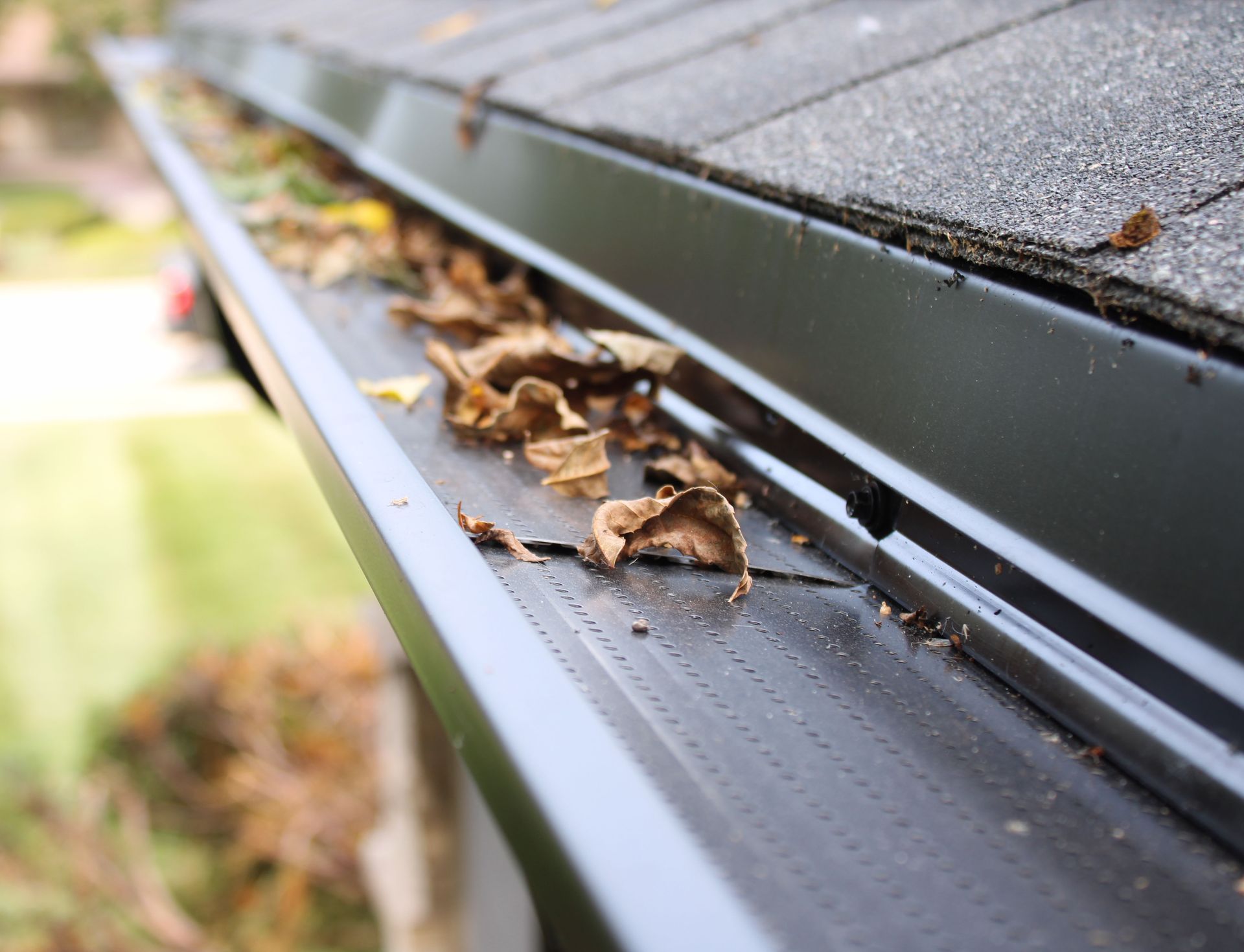 A close up of a gutter with leaves coming out of it.