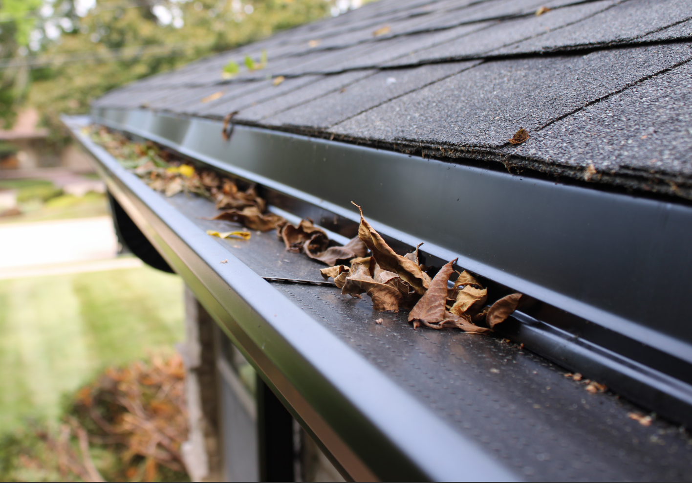 A black gutter with leaves coming out of it