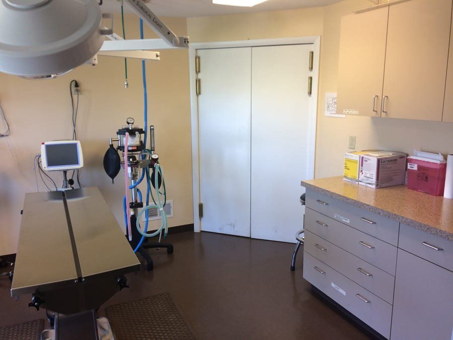 The Animal Care Center of Ooltewah Photo Gallery Ooltewah TN