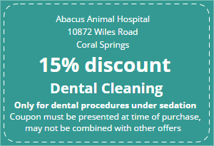 wiles animal hospital