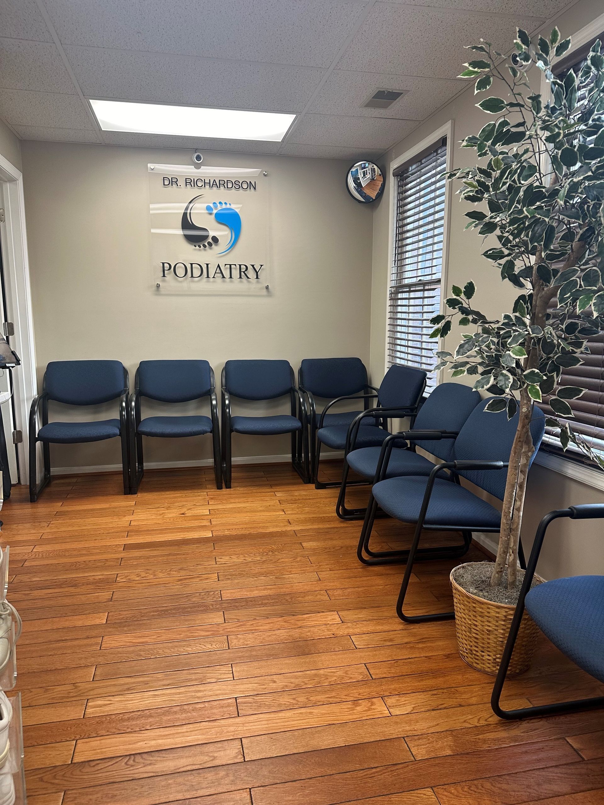 A waiting room with blue chairs and a tree.