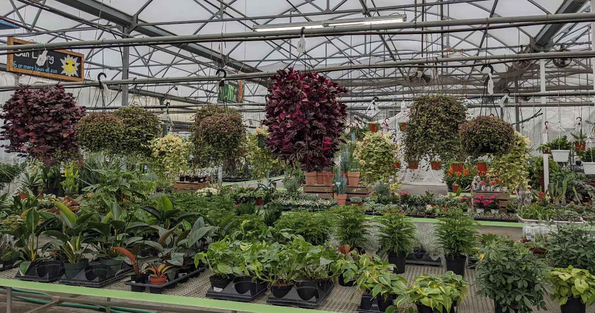 A greenhouse filled with lots of potted plants.