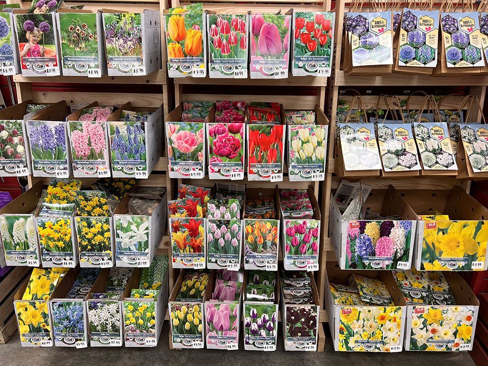 There are many different types of flowers on the shelves.
