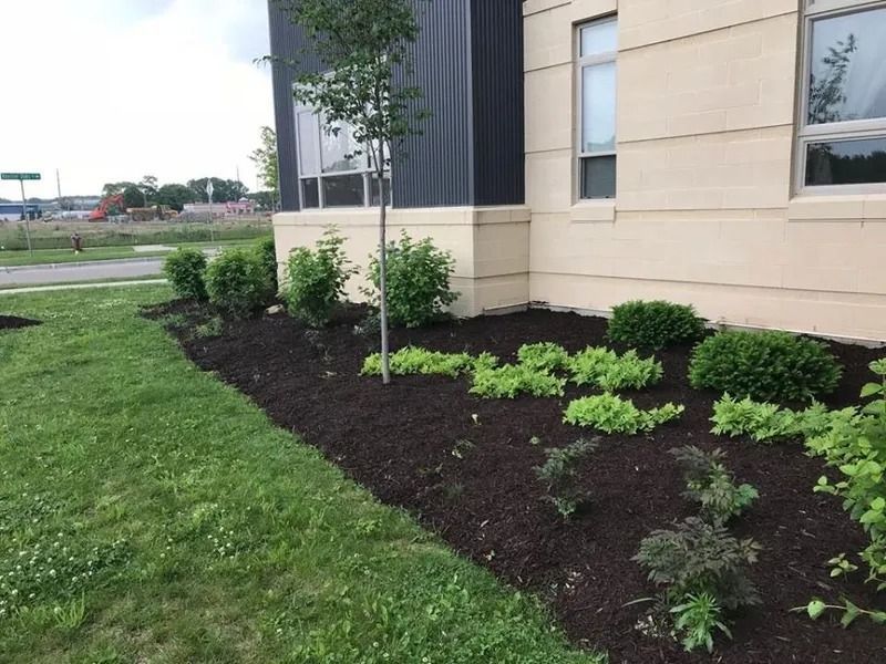 Landscaped flower bed with dark mulch beside a beige building and green lawn