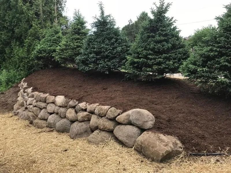 Curved stone retaining wall bordering a mulched garden bed with evergreen trees in the background