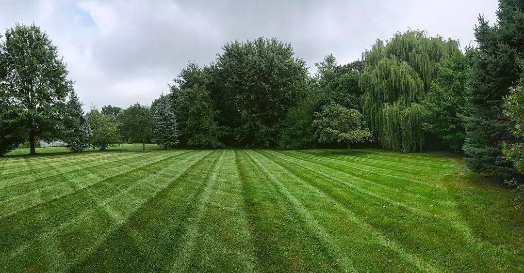 Freshly mowed green lawn with striped grass, bordered by leafy trees under a cloudy sky