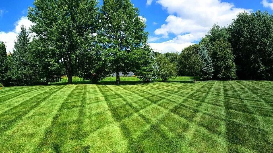 Lush green lawn with diagonal mowing stripes, trees, and a blue sky with clouds in a park.