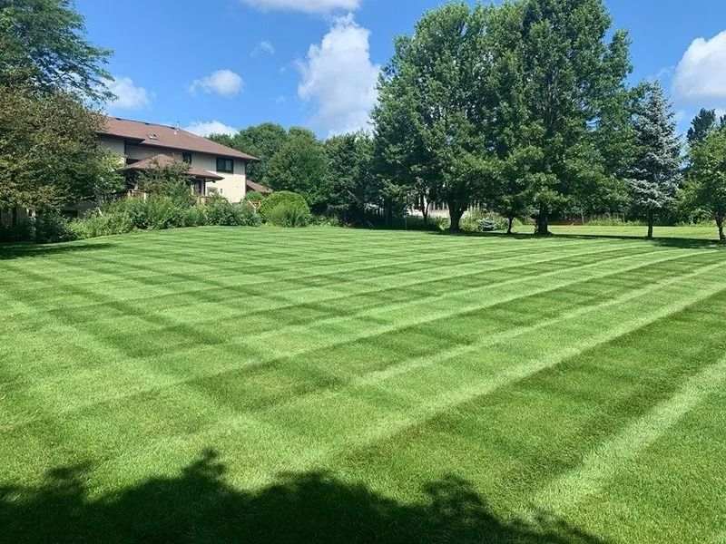 Lush striped lawn beside a house and trees under a blue sky