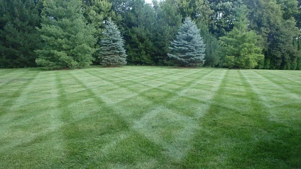 Freshly mowed green lawn with striped grass in front of tall trees and evergreens.