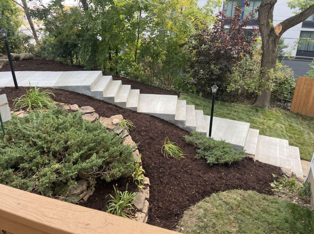 Backyard stone steps leading to a raised patio, bordered by green lawn and shrubs