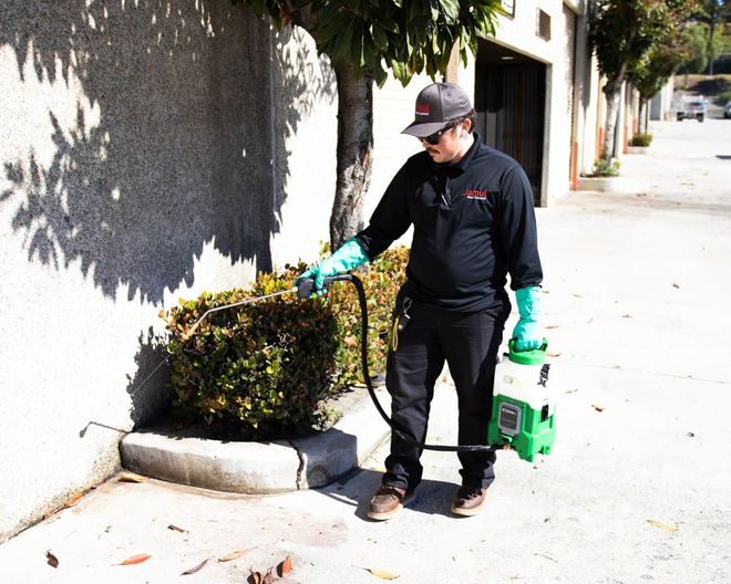 Person in protective gear spraying for insect control around a house or building