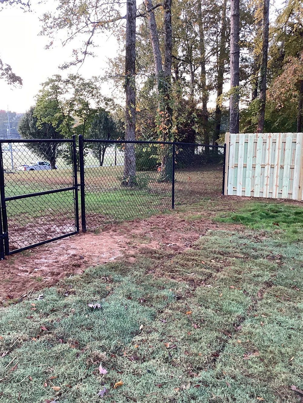 Black chain-link fence gate open, leading to a path. Wooden fence is to the right, surrounded by grass and trees.