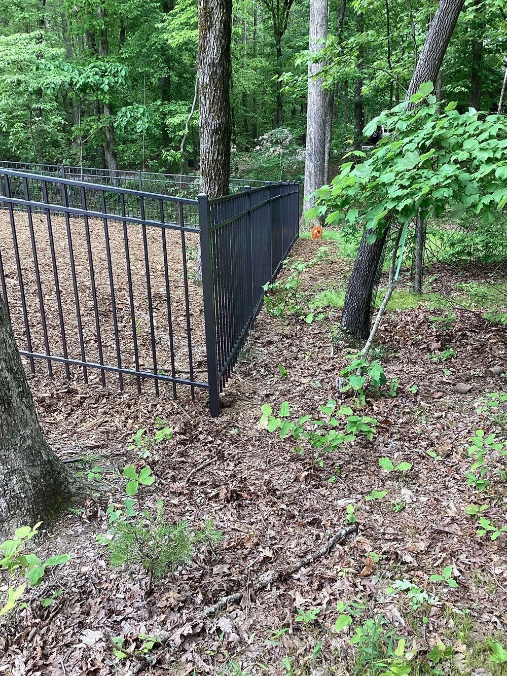 Black metal fence in a wooded area; trees and leaves on the ground.