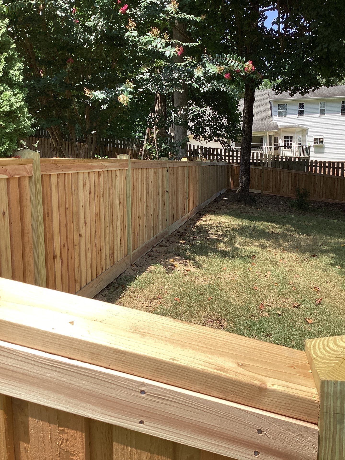 Wooden fence in a grassy backyard, trees and a house in the background. Sunny day.