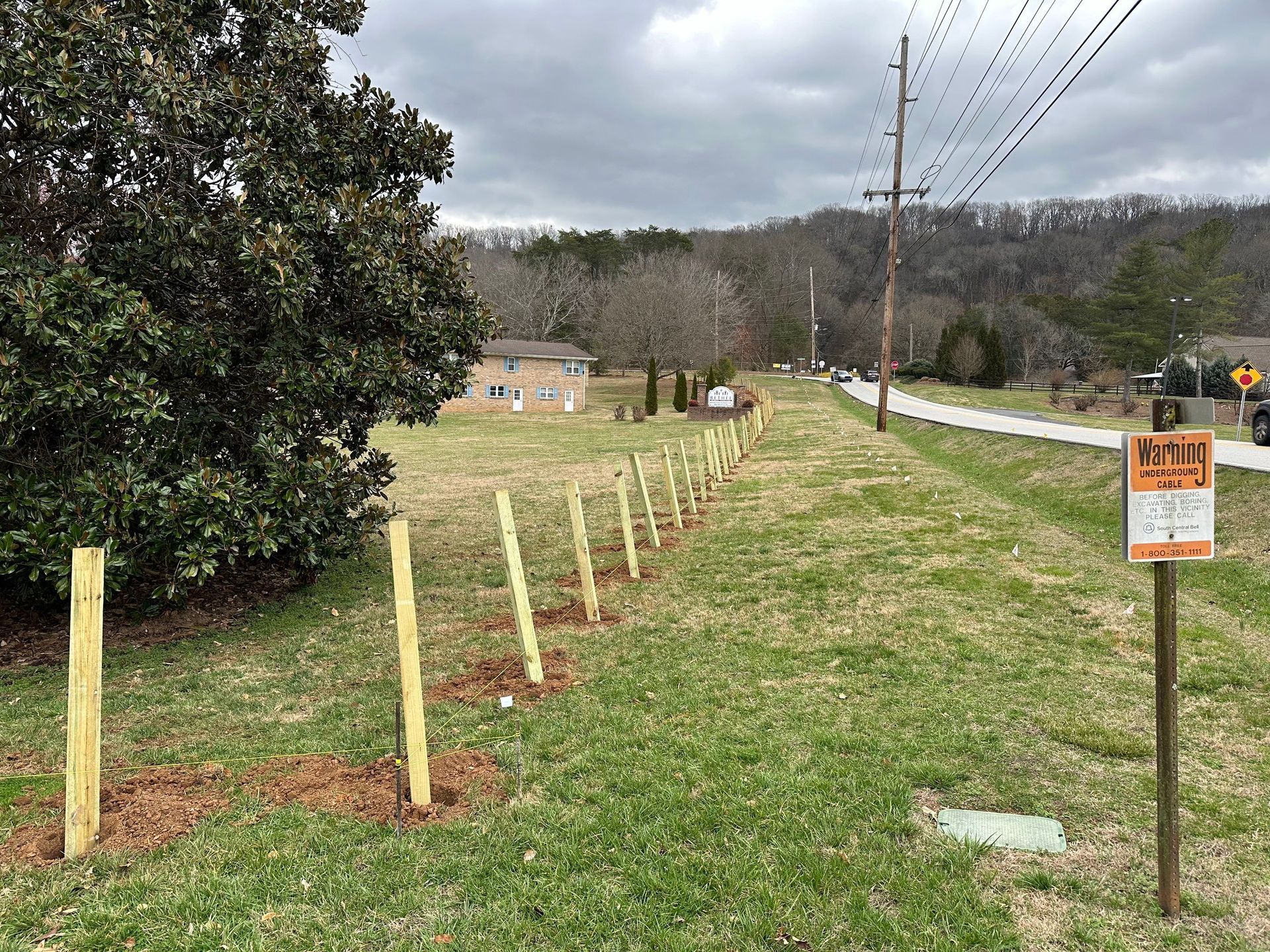 Rows of young trees with support posts along a grassy roadside, with a sign. Overcast sky.