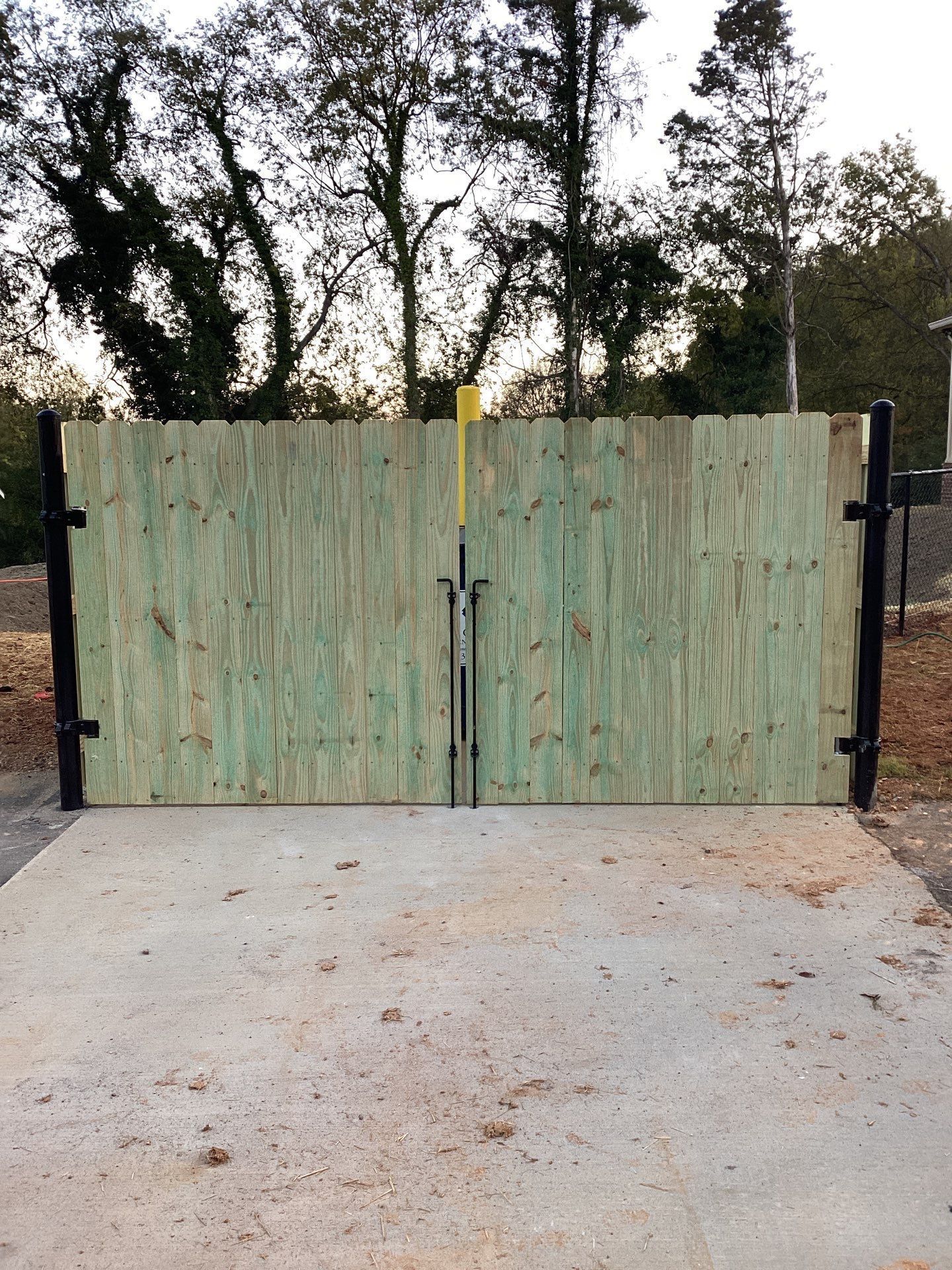 Wooden double gate, light green planks, black hinges, closed. Concrete ground, trees in background.