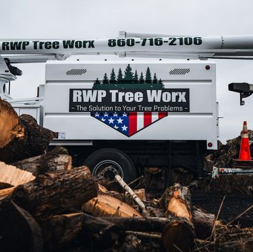 RWP Tree Worx - Logo