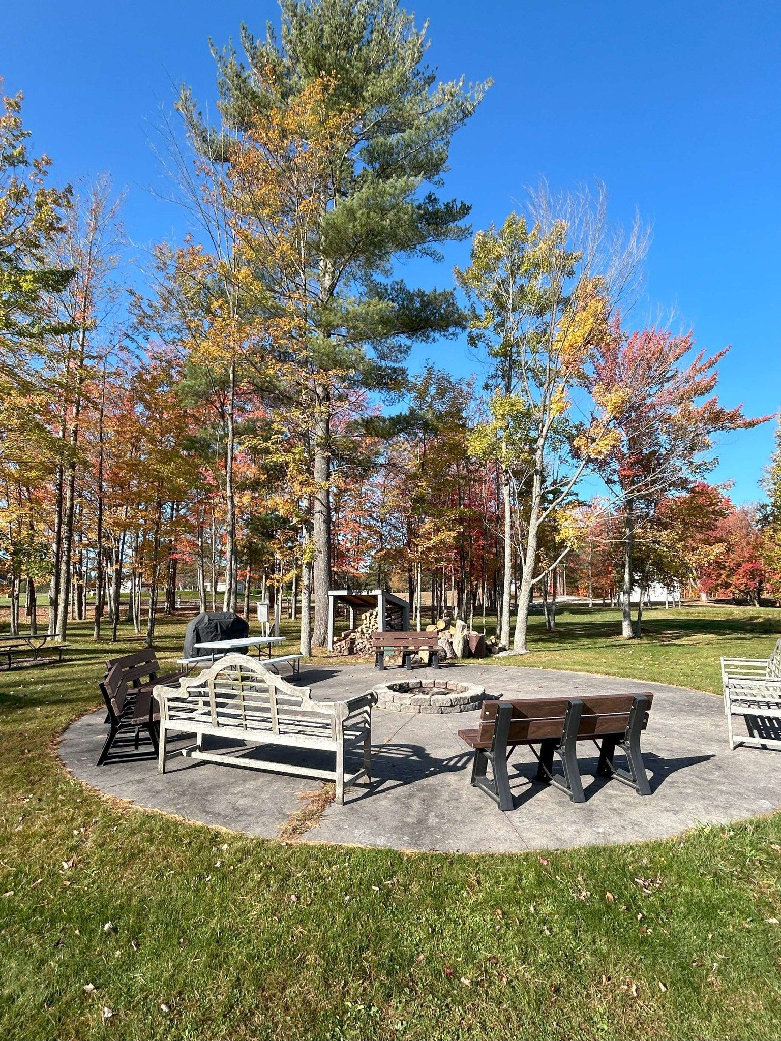 Circular area with benches around a fire pit under autumn trees, blue sky.