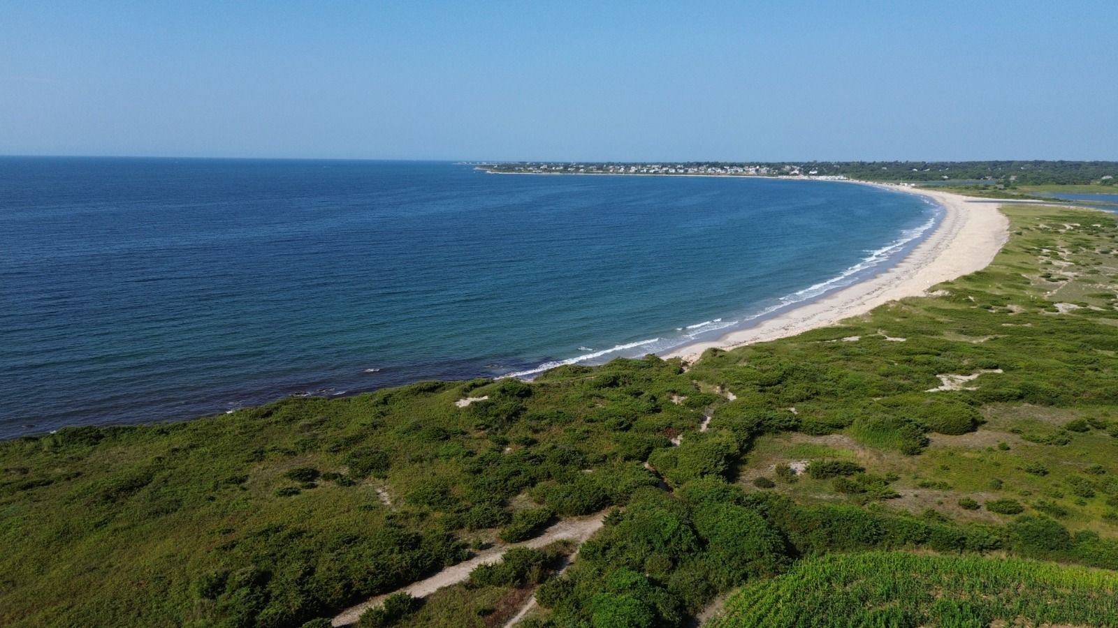 Aerial view of a sandy beach curving along a blue ocean under a clear sky, with green vegetation in the foreground.