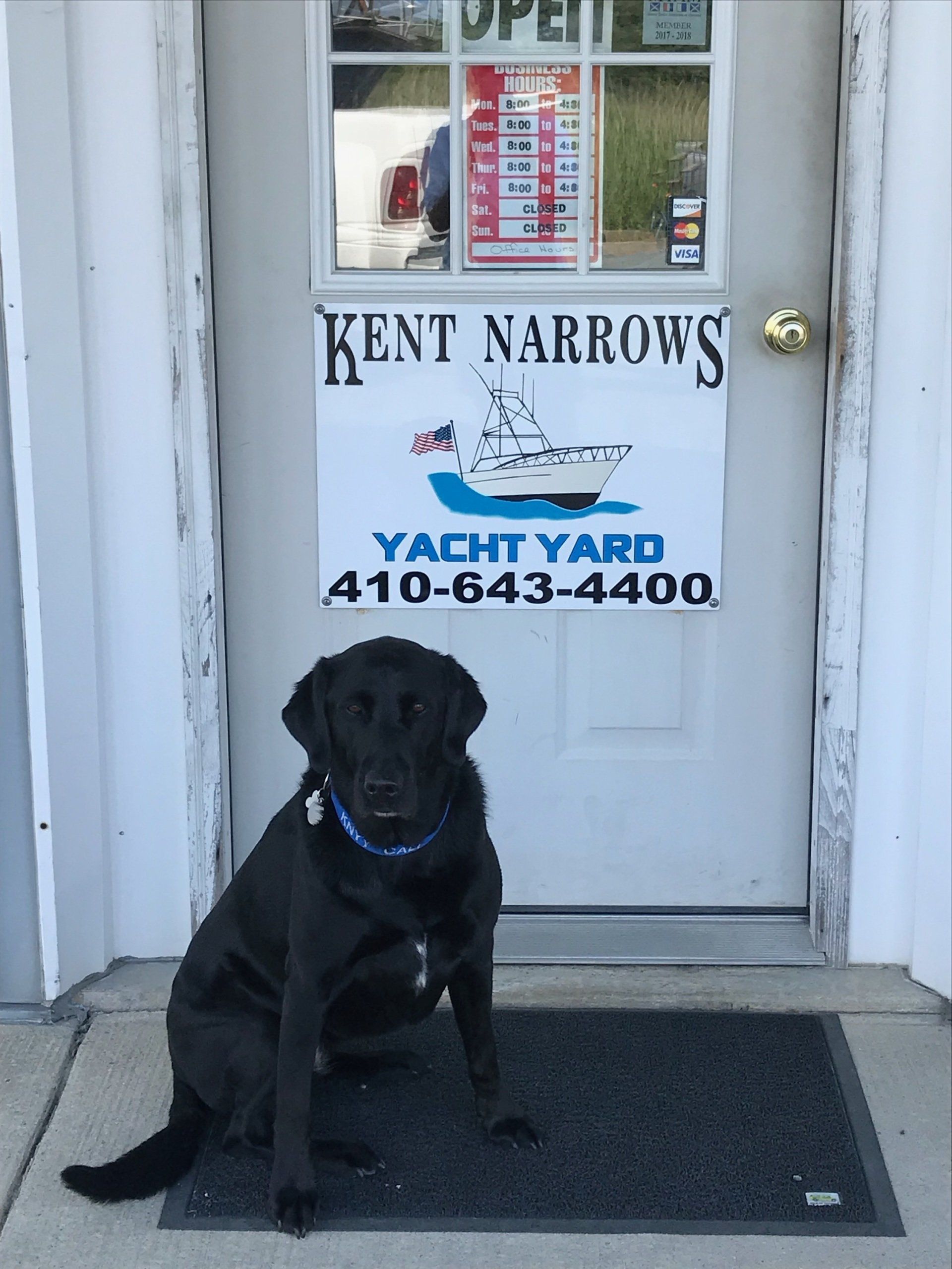 a black dog is sitting in front of the door