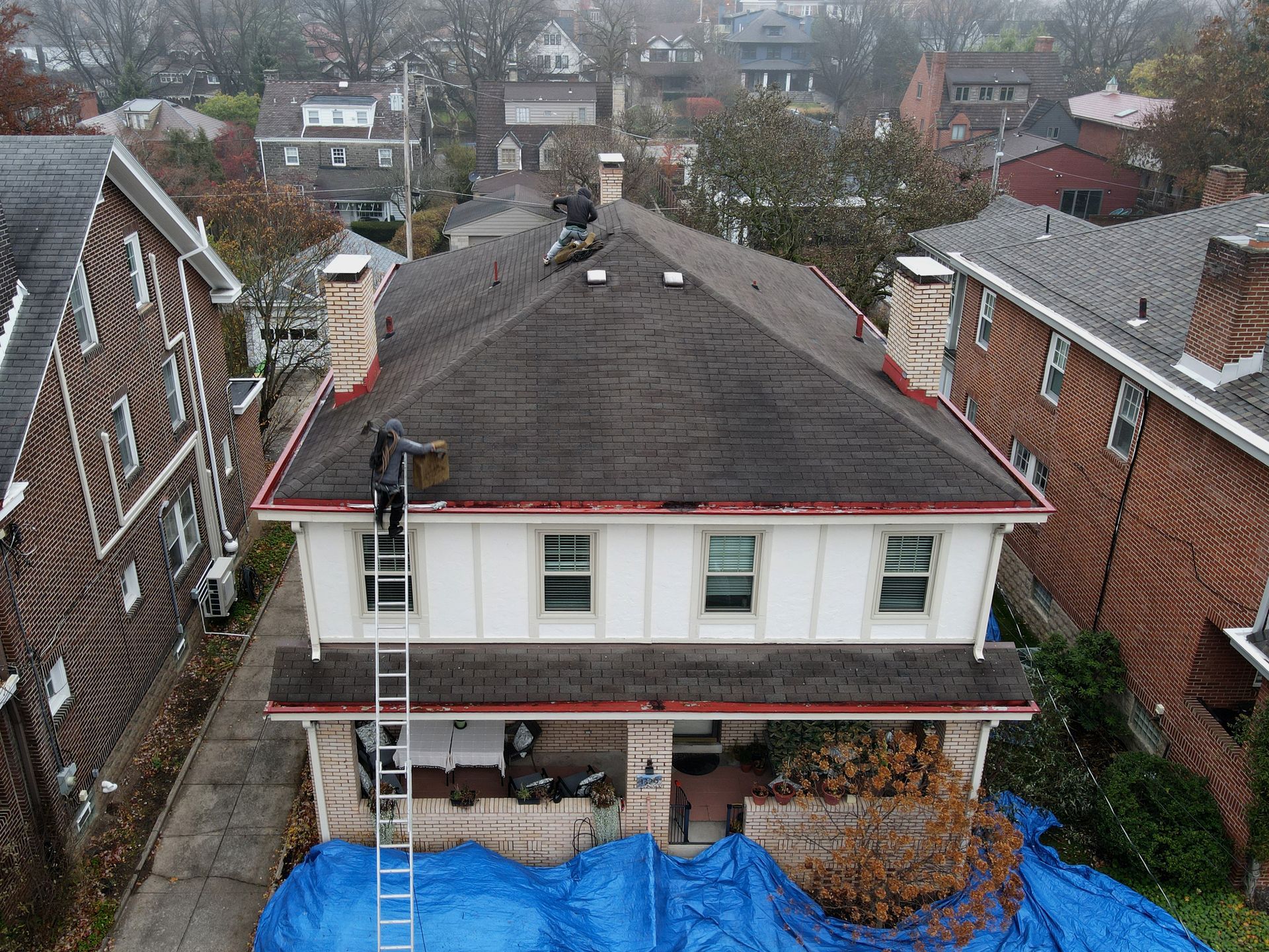 Roofers on a house roof. One on ladder. Blue tarp on the ground.