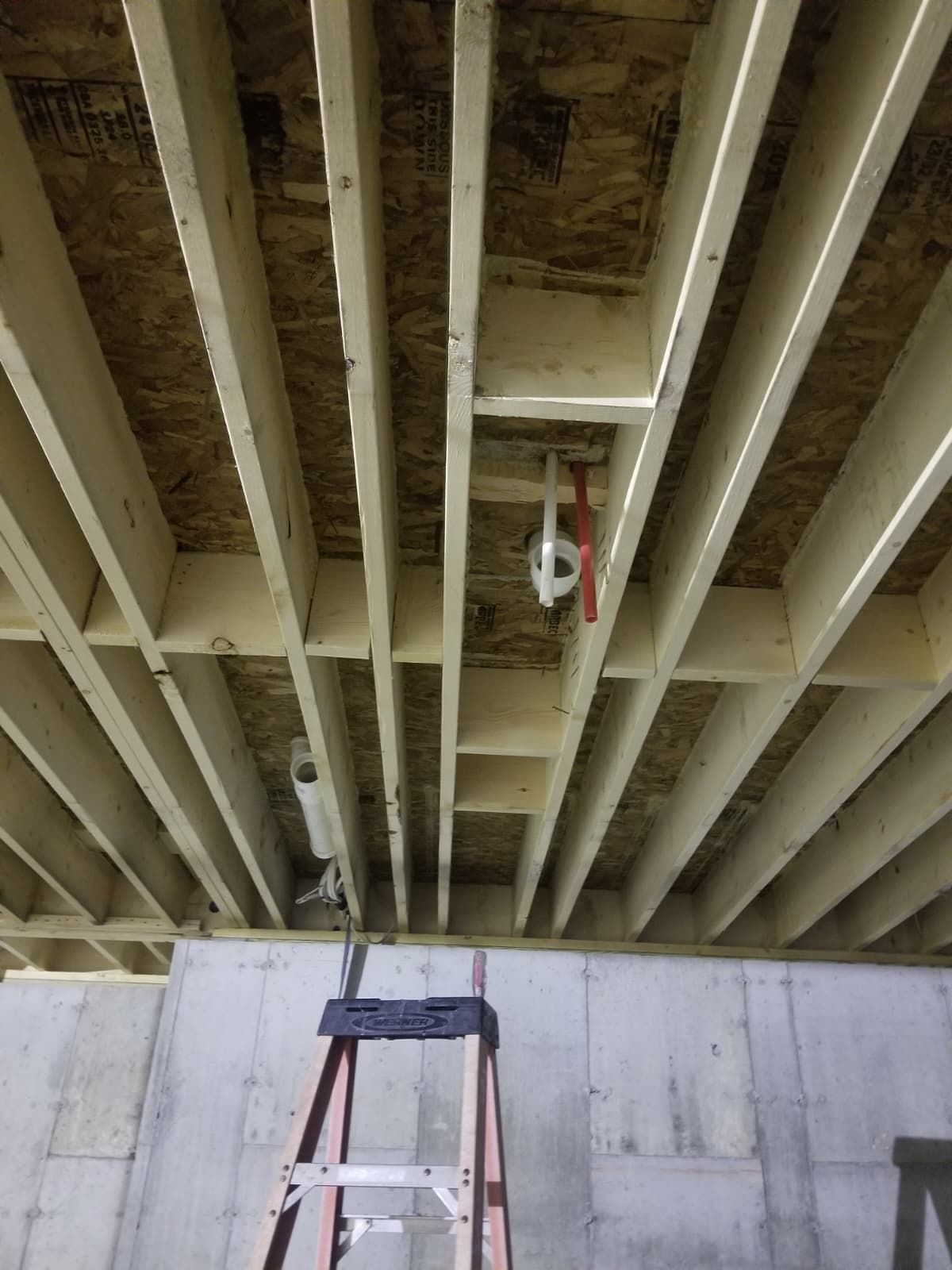 Ladder under a concrete bridge or overpass, with exposed beams and hanging cables overhead.