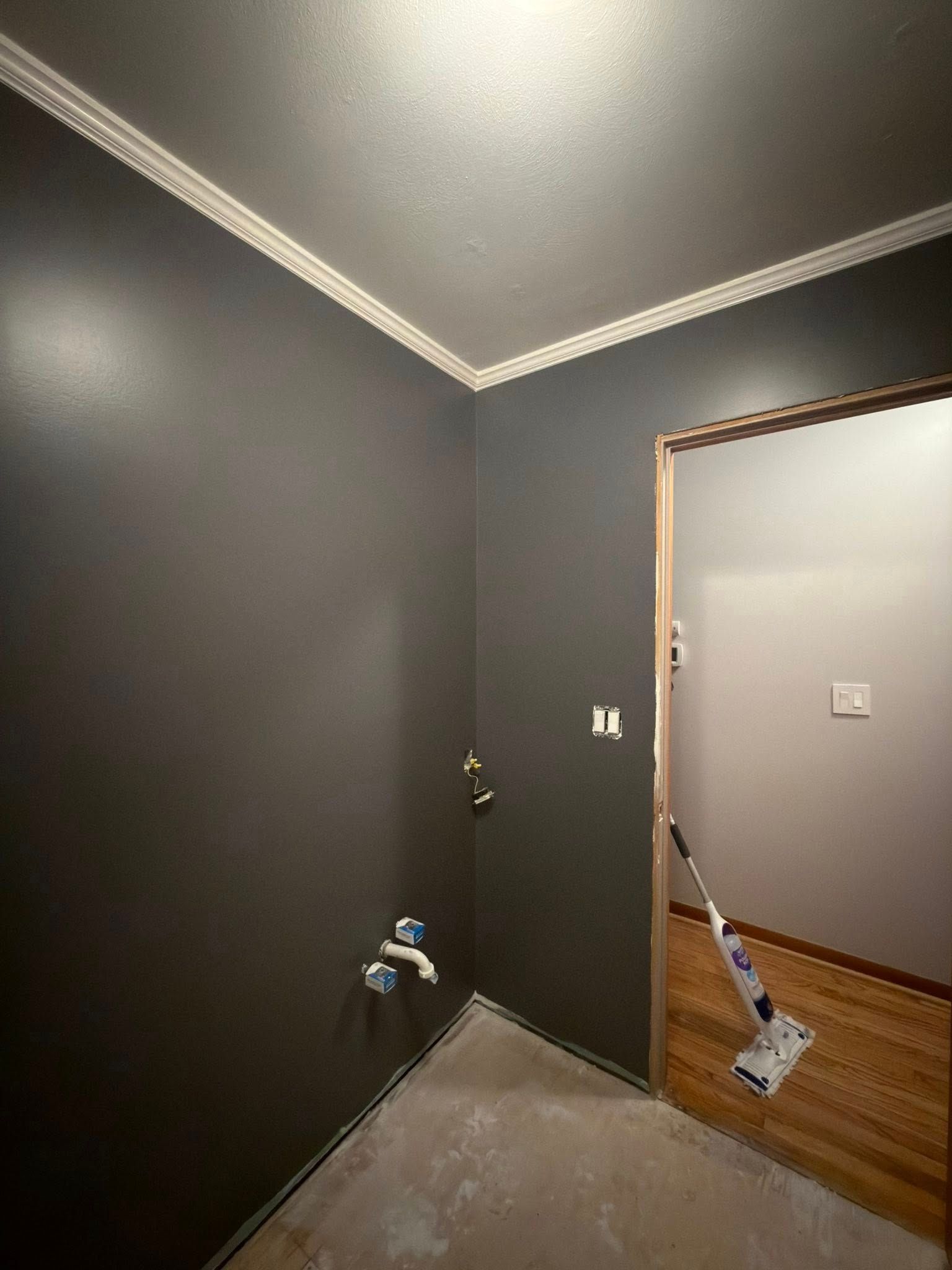 Dark gray room with white crown molding. Open doorway to a lighter room with a mop leaning against it.