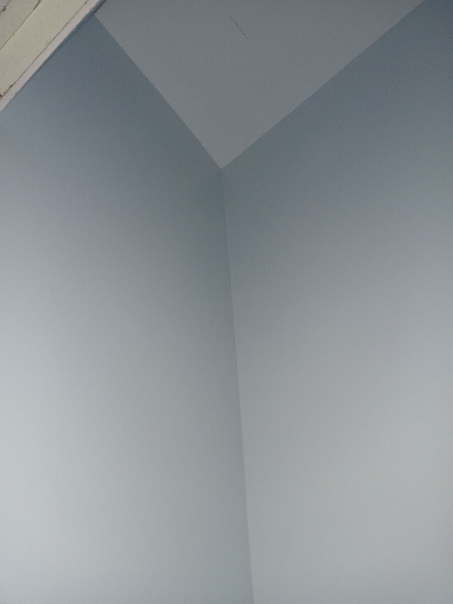 Corner of two pale blue painted walls meeting a white ceiling.
