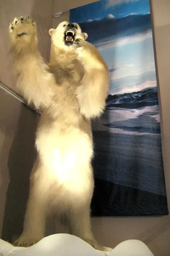Tall plush animal with raised paws in front of a wall poster of waves and sky