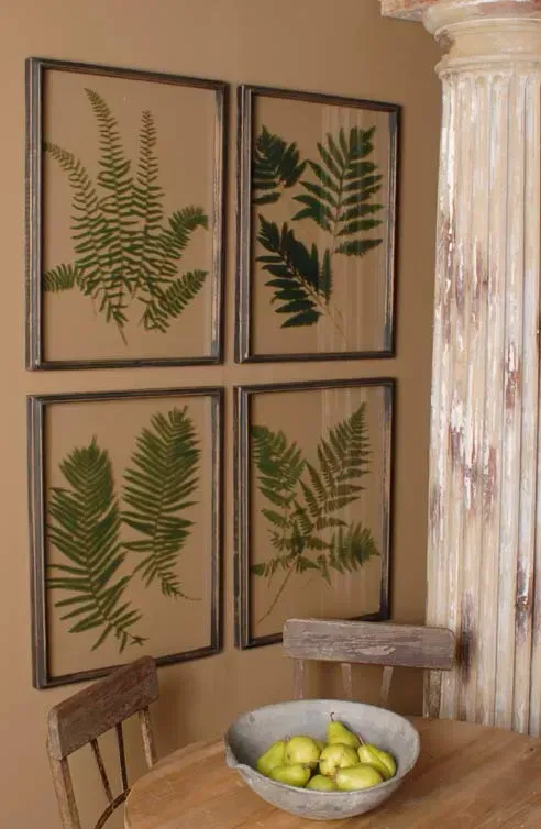 Four framed fern prints beside a white column, with a wooden chair and bowl of green apples on a table.