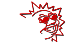 Conway Glass Tinting Plus Inc - Logo