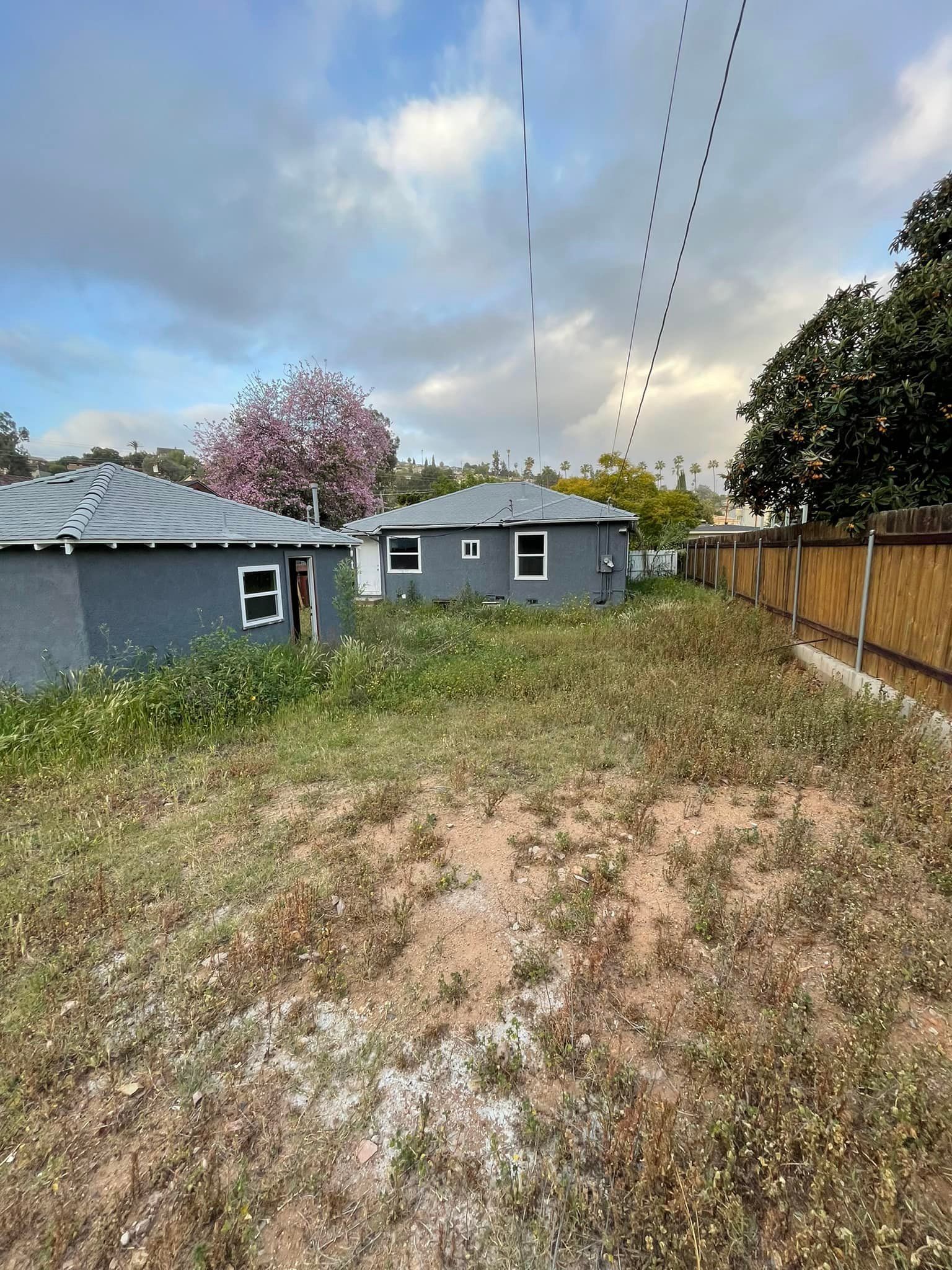 Backyard with two gray buildings and overgrown weeds. Cloudy sky. Wooden fence right.