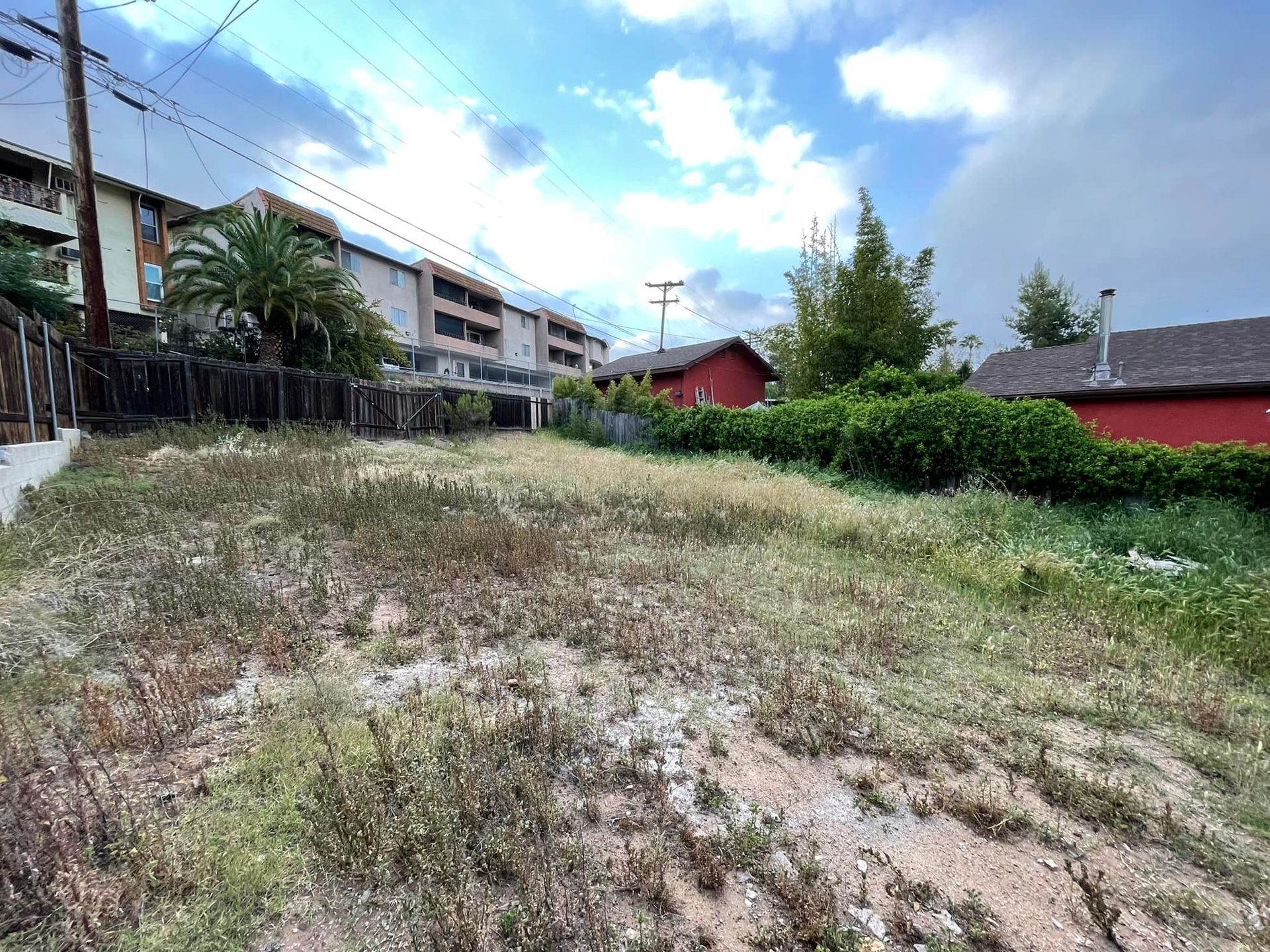 Grassy, overgrown lot with a view of buildings and a red shed under a cloudy sky.