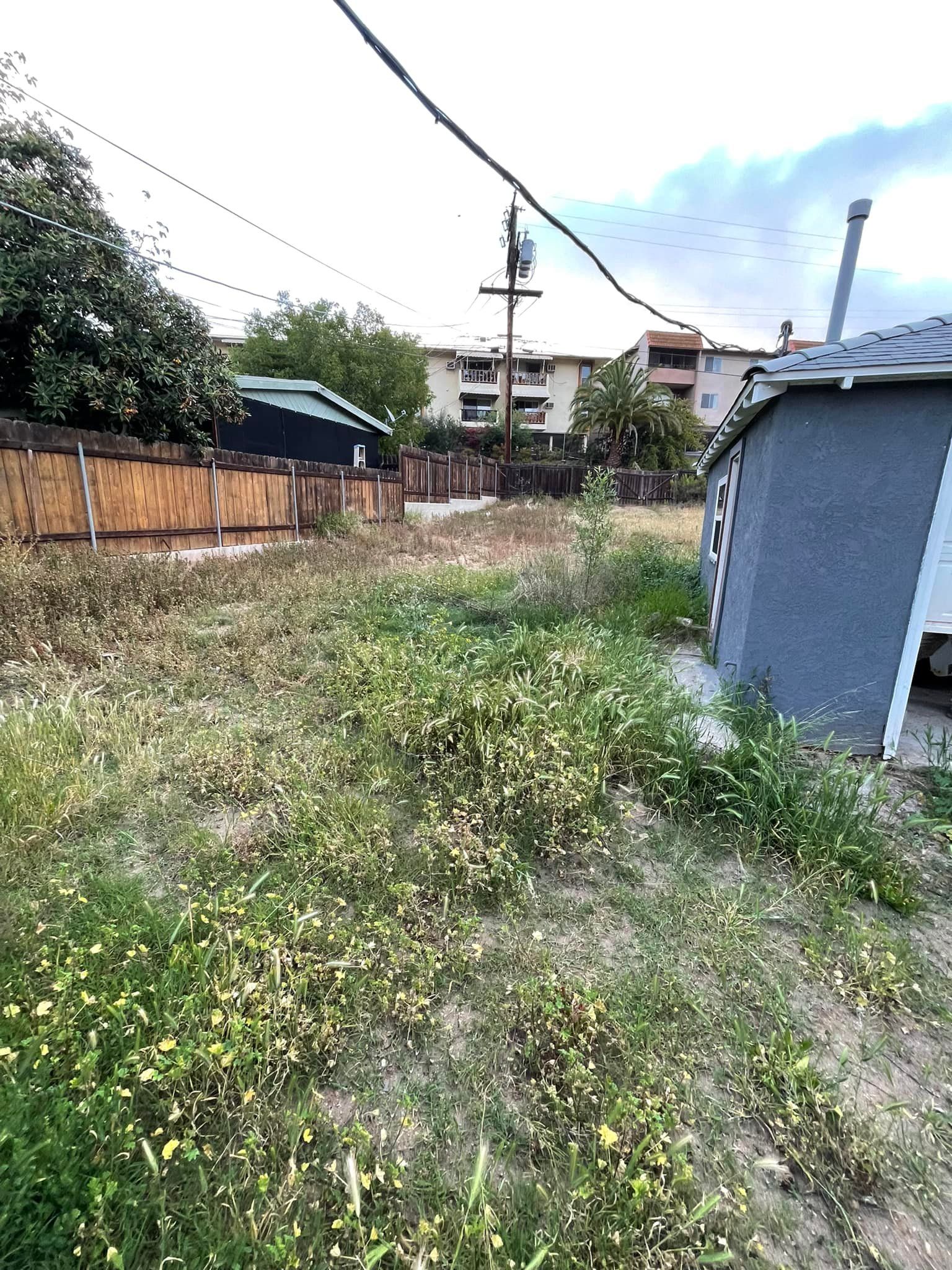 Overgrown vacant lot with weeds and a small gray building, fence, utility pole, and residential buildings in the background.