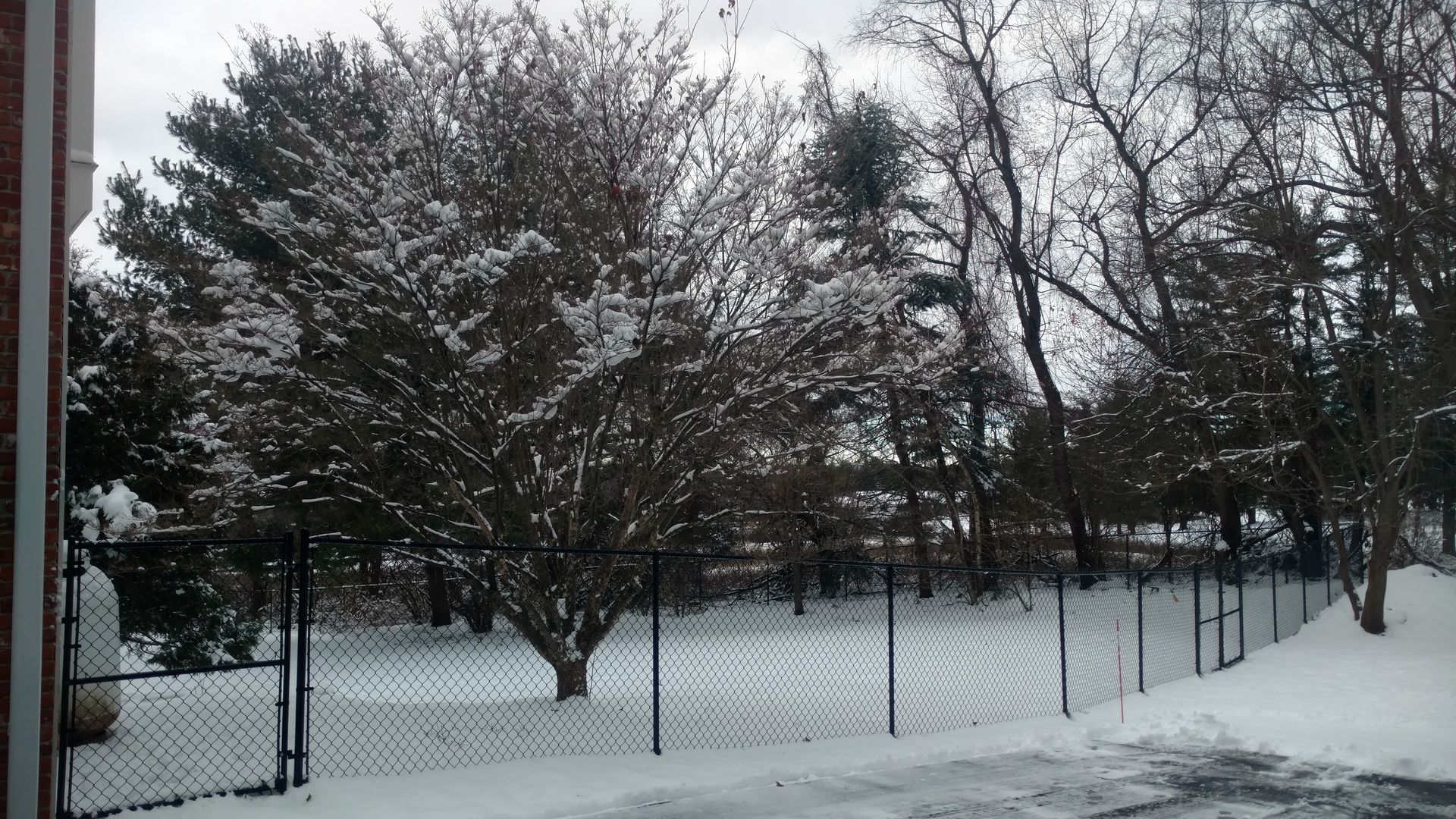 black chain-link fence